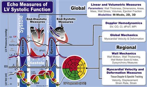 lv dp|left ventricular function assessment.